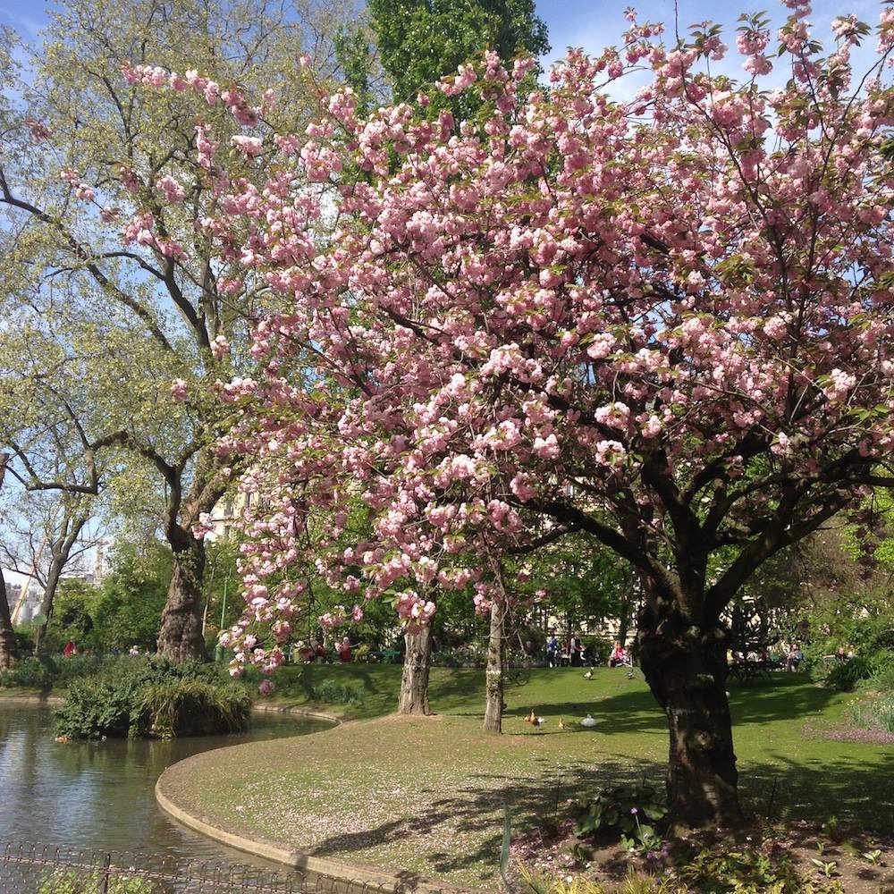 Guides Paris, Guide Paris, Visiter Paris, Visite Guidée Paris